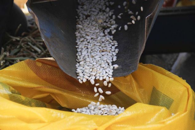 Geimini tek bana alarak saladn ifade eden eri, unlar kaydetti: 