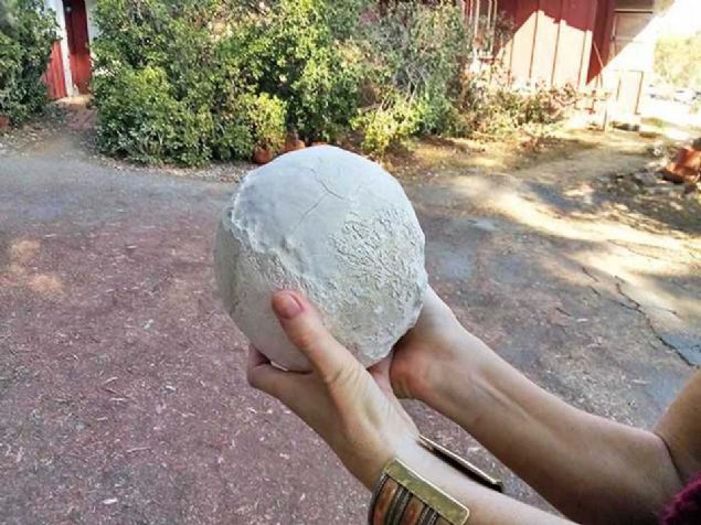 Bir atn safra kesesinden karlan ta.    