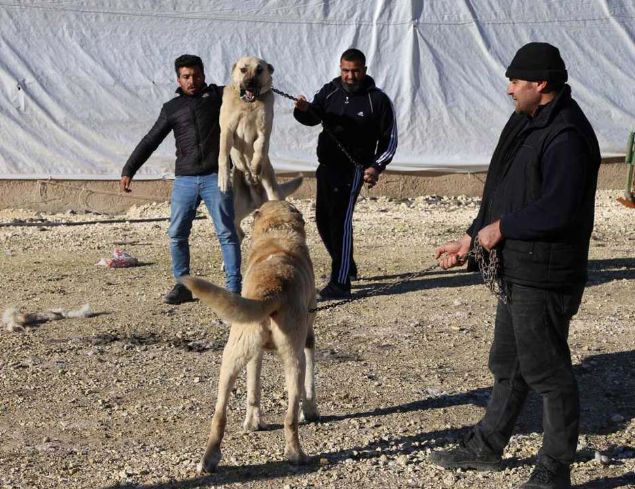 Malakllarn ou Uzak Dou'ya gidiyor'  <br><br>  retim merkezlerinin saysnn arttna dikkati eken Tprdamaz, yle konutu: 'Yurt ii ve yurt dndan derneimize gelen talepleri reticilerle beraber deerlendiriyoruz...        