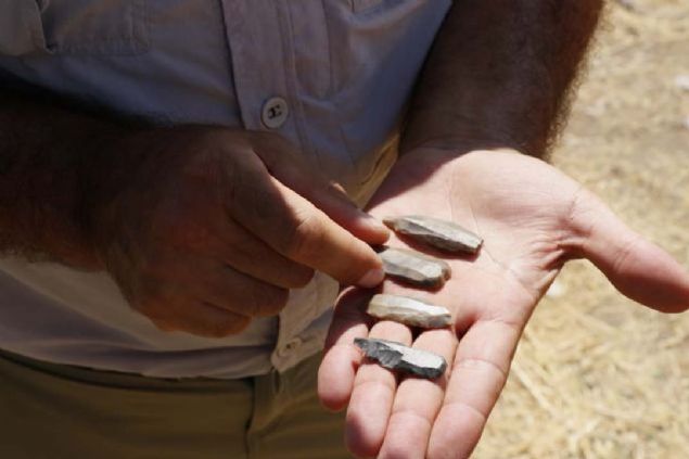 Arkadalaryla almak iin il dna gittiklerini aktaran Ferman, 'Bu kaz almalarnn balamas bizim iin de ok iyi oldu. Evimize yakn bir yerde ekmek paras kt...   