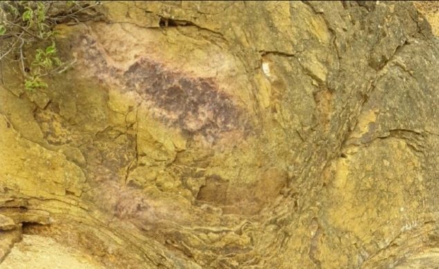 <p>  	Bilim adamlar�n�n il&ccedil;ede yapt��� ke�fin dikkatini &ccedil;ekti�ini s&ouml;yleyen Gergin, "Tarlam�n etraf�nda kayalar var. Onlar� inceledim. Birden fazla �ekle rastlad�m. Hele bir tane buldum ki, bence &ccedil;ok �ey ifade ediyor. Bilime ���k tutacakt�r. Kaya par&ccedil;as�nda onlarca k�lcal ayaklar� olan bir canl�n�n fosilini buldum. Ayr�ca kayada b&acirc;riz bal�k fosili de var. Bu da beni &ccedil;ok heyecanland�rd�" diye konu�tu.</p>  