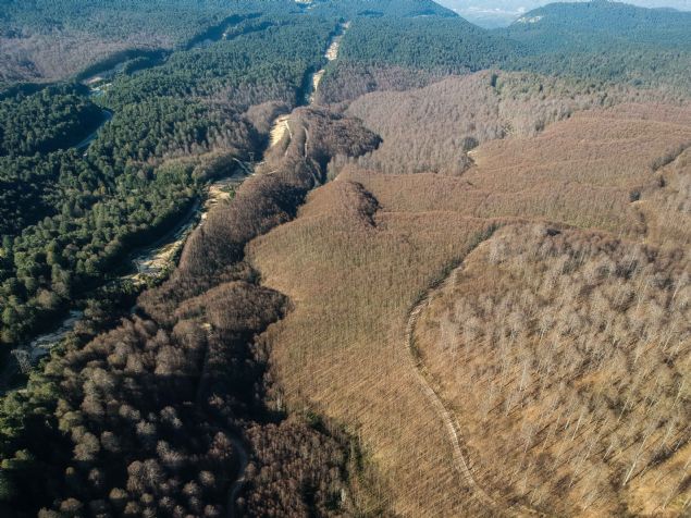 <p font-size:=' roboto=' style='box-sizing: border-box; margin: 0px 0px 10px; padding: 0px; border: 0px; list-style-type: none; color: rgb(51, 51, 51); font-family: '>  	T�rt�llar�n verdi�i zarar, b&ouml;lgenin drone ile &ccedil;ekilen g&ouml;r&uuml;nt&uuml;lerinden belirgin �ekilde anla��labiliyor. G&ouml;r&uuml;nt&uuml;lerde, orman�n bir taraf�n�n ye�il, di�er taraf�n�n da yapraks�z a�a&ccedil; ve bitkilerden dolay� kahverengiye b&uuml;r&uuml;nmesi dikkati &ccedil;ekiyor.</p>  <div>  	&nbsp;</div>  