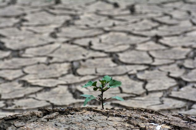 Torul ilesinin Kprba Mahallesi'nde 2008 ylnda kurulan ve 500 milyon metrekp su geii, 160 milyon metrekp depolama hacmiyle yllk ortalama 300 bin megavat elektrik retimi gerekletirilen barajdan, ortalama 74 bin 100 kiinin gnlk elektrik ihtiyac karlanyor. 