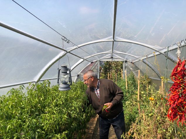 'Burada vakit geiriyorum, eleniyorum. Torunlarma da bir park yaptm. ehir trafiinden uzak, sknt yok, stres yok. Buraya geldiim zaman her eyi unutuyorum. Sadece doayla i ieyim.'   