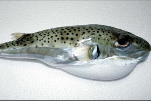 Kzmn parmann koptuunu grdm ve suya baktm. Balon balnn ayaklarmn dibinde olduunu fark ettim...    