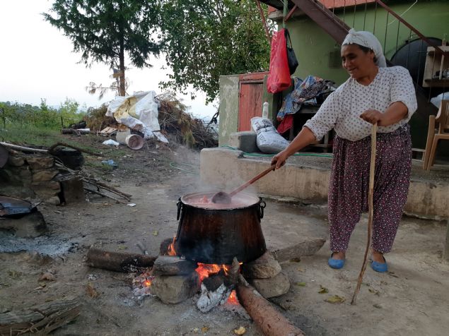 <div class='newsdetailwrap' style='box-sizing: border-box; margin: 0px; padding: 0px; border: 0px; color: rgb(51, 51, 51); font-family: "Roboto Condensed"; font-size: 14px;'>  	<div class='text-area' style='box-sizing: border-box; margin: 0px; padding: 0px; border: 0px; font-size: 19px; line-height: 1.48;'>  		<p style='box-sizing: border-box; margin: 0px 0px 10px; padding: 0px; border: 0px; list-style-type: none;'>  			Kadirli Ziraat odas Bakan Hanifi spir de nar ekisi üretiminde kullanlan nar tanelerinden geriye kalan posann hayvan yemi, kabuunun ise yakacak olarak deerlendirildiini kaydetti.</p>  		<div>  			(AA)</div>  	</div>  </div>  