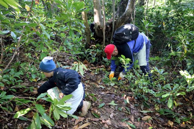 <div>  	Bat� Karadeniz Kalk�nma Ajans� da 2014 y�l�nda haz�rlad��� Zonguldak Kestanesi ve Cevizine Y&ouml;nelik Markala�ma &Ccedil;al��malar� Projesi ile kestanenin b&ouml;lge i&ccedil;in &ouml;nemini vurgulayan &ccedil;al��ma yapt�.</div>  <div>  	&nbsp;</div>  