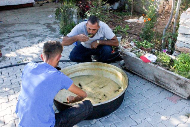 <p>  	Bir süre dinlendirilen üzüm suyu, pekmez yapılmak üzere bakır kazana konularak odun ateşinde kaynatılıyor. Kaynadıktan sonra soğuması için tekrar dinlendirilen üzüm suyu, kepçe yardımıyla köpürtülüyor.</p>