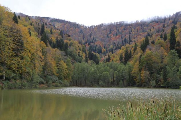 Doas ve corafi gzellikleriyle yerli ve yabanc turistlerin son yllarda ska ziyaret ettii Karagl, yazn yeilin, sonbaharda sar, turuncu ve krmznn onlarca tonuna brnen aalarn gl yzeyine yansmas kartpostallk grntler de oluturuyor.    