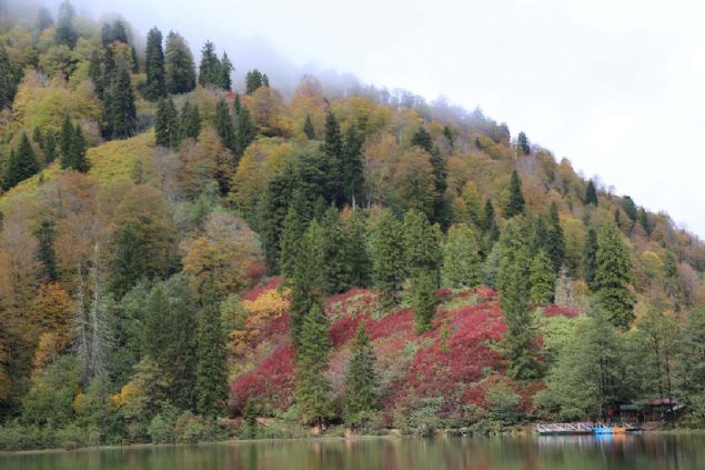 Doa tutkunlar, fotoraf sanatlar yln bu mevsiminde buralara akn ediyor' ifadelerini kulland.  