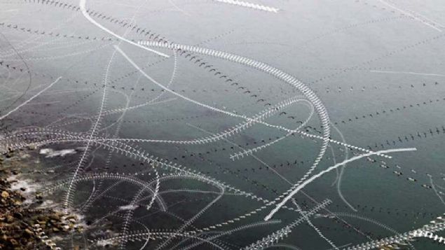 Kathryn Cooper  Yaratc mgeler  <br><br>  Fotoraf Cooper, 2018 yl Haziran aynda Bempton Kayalklar'nda yarm milyon deniz kuunu grntledi.   <br><br>  Kular 400 metreye kadar 17 kilometrelik uular sergilediler ve Cooper da bunlar fotoraflayarak Gm dl sahibi oldu.    