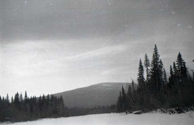 Cesetlerin hepsi yakla��k 180 metre uzakl�kta bir hat �zerinde bulundu. Uzmanlar, gen�lerin s�ra halinde birbirini takip ederek �ad�ra ula�maya �al��t��� ancak ba�ar�l� olamad��� yorumunu yapt�.    