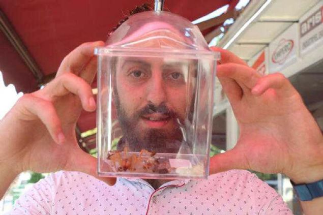 Spatula yardmyla da kavanoza koydu. Embiyaolu, Tarm ve Orman le Mdrl'n arayp, bilgi verdi. Ardndan byk ve sar renkteki rmcein fotorafn ekip sosyal medyada paylat.   <br><br>  Embiyaolu, fotorafa yaplan yorumlardan rmcein 'Sar mer' ya da 'Sar kz' diye adlandrlan zehirli 'Camel Spider' cinsi olduunu rendi.  <br><br>  Et yiyen ve 'B' olarak da bilinen rmcei beslemeye karar verdi. smail Embiyolu, rmcee 'Hsamettin' adn verdi.      