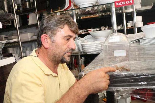 10 santimin zerinde bir bykl olduunu grdk' dedim. Bir kadn geldi, grnce brakt kat, o da korktu. 'Byle bir hayvan ben hi grmedim' dedi.  <br><br>  Daha sonra bunu Facebook'tan paylatk. 'Sar kz', 'Sar mer' gibi isimlerle paylamn altna yorumlar geldi. En ok Gneydou'da gzkt ve ok zehirli olduu sylendi' diye konutu.    