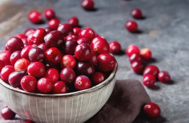 Dnyada ilalarn hastalklara paralel gelitirildiine deinen Aksoy, buna ramen baz hastalklar konusunda gelitirilmi ilalarn olmaynn, ayn zamanda ilalarn ounun etken maddesinin bitkilerden elde edilmesi uzmanlar bu gibi meyve ve yemilerle ilgili aratrmalara ynelttiini kaydetti.  