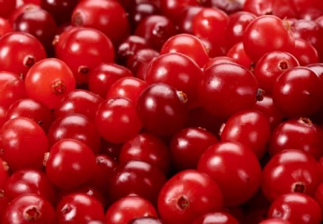 Bu anlamda karlatrmal yaplan aratrmada en belirgin zellik, kekreyemi meyvesinin aratrlan dier bitkilere gre karacier ya orann azaltmas ve ieriindeki flovonidlerden dolay kan dolamn etkileyip hcrelere daha fazla oksijen gitmesine ve orada daha fazla ya dokusunun yok edilmesine neden olmasdr.'   