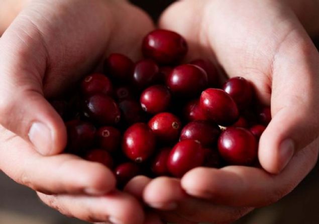 meyvenin inslin direncini de drerek insanlarn tip 2 diyabete yakalanma olasln drdn bildirdi.       