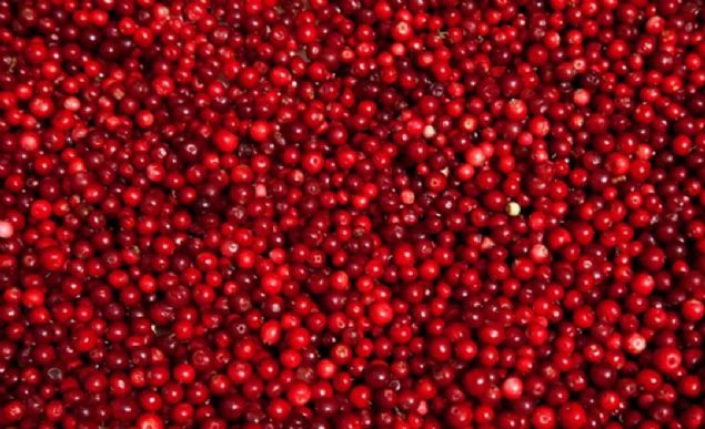 Lund niversitesinde yaplan aratrmaya gre, kekreyemi meyvesinin karacier ya orann azalttn ve kan dolamn etkileyip hcrelere daha fazla oksijen gitmesine ve daha fazla ya dokusunun yok edilmesine neden olduunu belirterek,     