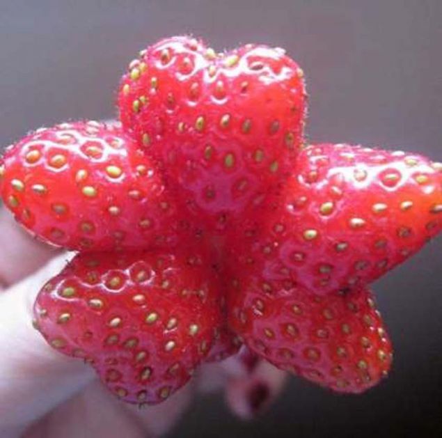 ��te do�an�n insana kar�� �st�nl���n� vurgulad��� o foto�raflar...    