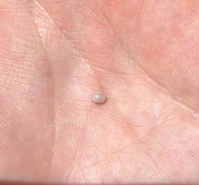 �ST�R�DYEN�N M�N�K S�RPR�Z�: �NC�  