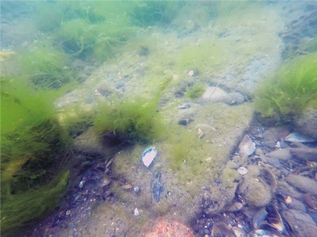 Altnova Belediye Bakan Metin Oral da Altnova'da blge iin nemli bulgulara rastlandklarn kaydederek su altnda kefedilen Kibatos Kalesi'nin suyun 3,5 metre altnda bulunduunu belirtti.      