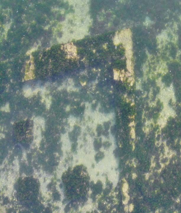 Denizin iinde bulunan kalenin deprem ynnden de kendilerine ipucu verebileceine de deinen Oral, 'Osmanl ile ilgili ciddi almalar kacak. Tabii Avrupa iin ayr bir nemi var ama en nemlisi, bizim u an burada, deniz iinde bir kalemiz, yine devamnda ikinci bir antik kentimiz var.' dedi.     