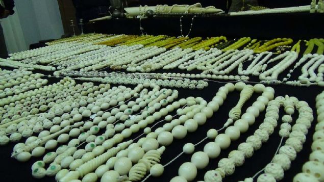 stanbul Kaaklk Sularyla Mcadele ube Mdrl ekipleri ald bir ihbarda Nesli Tehlike Altnda Olan Yabani Hayvan ve Bitki Trlerinin Uluslararas Ticaretine likin Szleme (CTES) gerei sat dnyada yasak olan fil, gergedan, piton ylan dilerinden retilen baston, tesbih, satran ta gibi rnlerin satldn renerek alma balatt. 