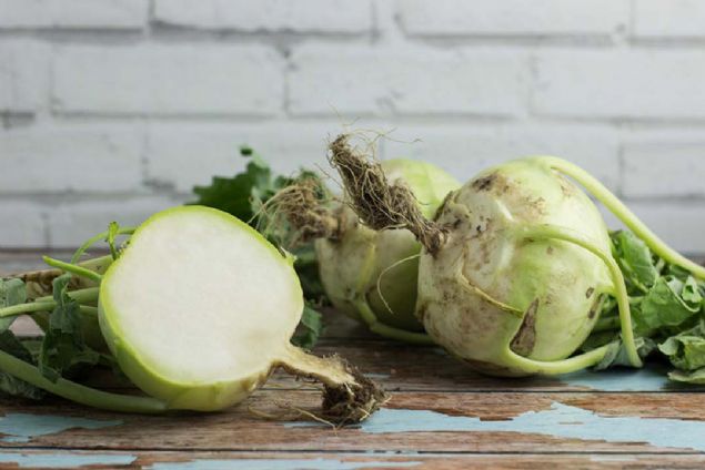 14- Y�ksek oranda C vitamini i�erir. So�uk alg�nl���, grip ve nezleye kar�� korur.   