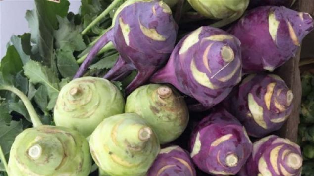 4- Kalp ve dola��m rahats�zl�klar�ndan korur.            