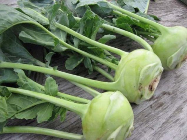 �ekeri, kolesterol� d���r�r, kans�zl��a iyi gelir. B�brek ve safra kesesi ta�lar�n� d���r�r.          