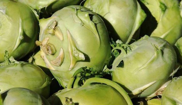 2- Bron�it ve ast�m �ikayetlerini k�sa s�rede hafifletir.             