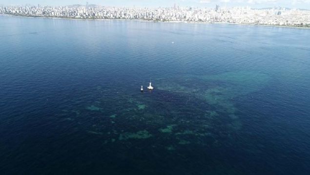 Keif srasnda kilise duvarna rastlamadn ifade eden mezsoy, 'Bu yaplar yalnzca Dragos ve evresinde deil rnein Kurfal'da, Kartal'da, Tuzla'da ve hatta Avclar'da da var. Bunlar Kuzey Anadolu Fay'n kat eden ikincil faylar ama Adalar Fay'nn kesinlikle Kuzey Anadolu Fay olmadn gsteriyor.   