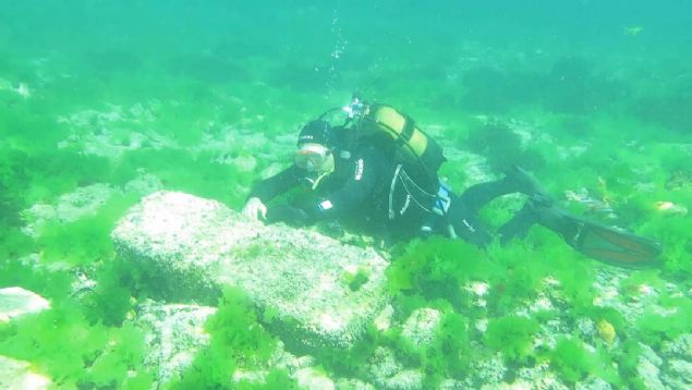 Bunlar 6,5'lik depremleri getirebilir. 30-40 kilometrelik bir fayn bir metre kmesiyle oluan deprem sz konusu. 5-10 depremle bin yldan beri battn dnebiliriz.'     