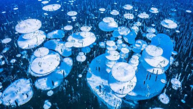 Lago Bianco, �svi�re  <br><br>  G�l h�zla donarsa y�zeyin alt�nda hava baloncuklar� hapsolabilir.   <br><br>  �svi�re'nin Bianco G�l�'ndeki bu baloncuklar muhtemelen metandan olu�mu�. G�l�n dibinde ��r�yen organik maddeler, bakteriler taraf�ndan yeniyor ve metan gaz�na d�n��t�r�l�yor.  <br><br>  Ko�ullar uygun oldu�unda metan baloncuklar� �evrelerinde donan suyun i�ine hapsoluyor.         