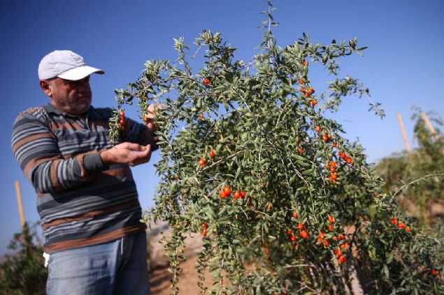 Biz retmekten daha ok rettiriyoruz, ihra ediyoruz. reticimiz ka dnm yapacan, ka kii altracan kendisi belirliyor.      