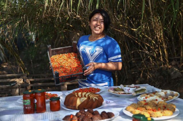 hracat bir Fransz firmasyla gren ot, yaplan anlama sonras Nide'de bir baheye ilk goji berry fidanlarn dikti. retimden ve haslattan memnun kalan ot, Trkiye'nin deiik blgelerinde goji berry baheleri kurdu.       