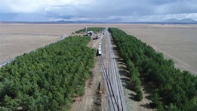 TCDD taraf�ndan 1969 y�l�nda Do�u Anadolu'daki baz� tren yollar� ile tren istasyonlar� �evresine, yo�un kar ya����n�n raylar� olumsuz etkilemesini engellemek amac�yla a�a� dikilmesine karar verildi.  