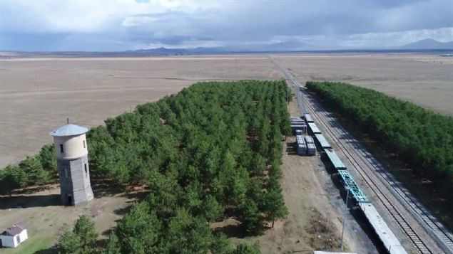 Binlerce �am fidan�n�n yer ald��� istasyon ve demiryolunun �evresi, ye�il �rt�yle kapland�.   