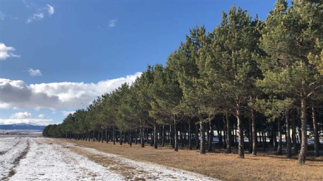 Bu �amlar ayn� zamanda da millete oksijen veriyor. Herkesin buran�n k�ymetini bilmesi laz�m' dedi.� 