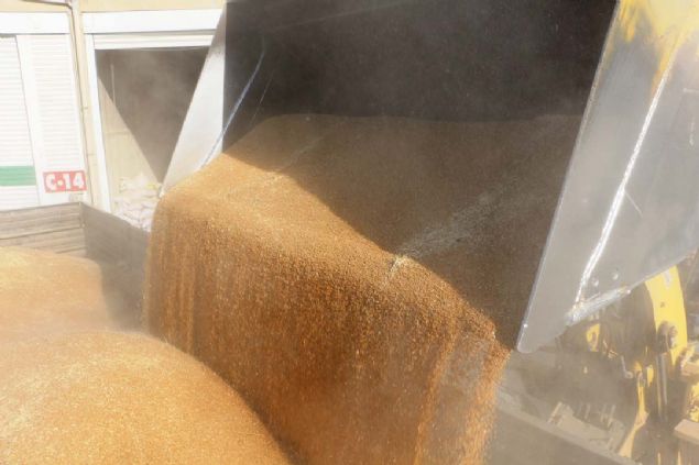 SALIKLI BESLENMEK STEYENLER BULGUR TKETSN  <br><br>  Salkl beslenmek isteyen herkese Mardin bulgurunu tavsiye eden Sun, unlar syledi:    