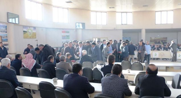 Medeniyetlerin bakenti Mardin'in 'Mezopotamya gnei' olarak adlandrlan bulgurunu almak iin birok uluslararas dzeydeki firma sraya girdi.      