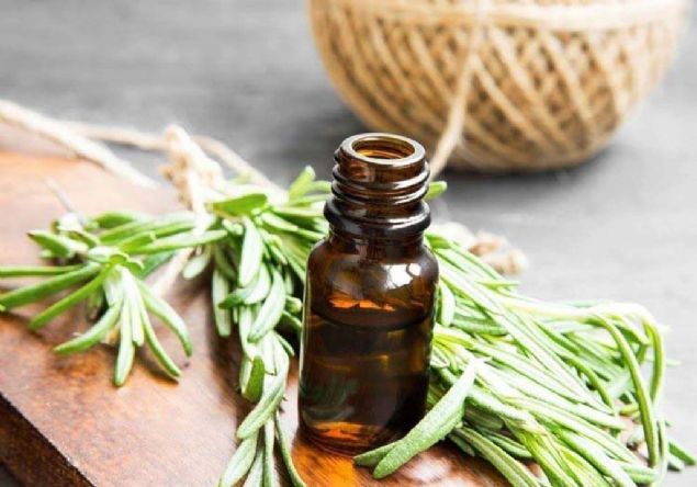 Biberiye vcuttaki toksinleri atmann yan sra zarar grm hcreleri de onarmada etkilidir.   <br><br>  Oksijen fazlasn beyin ve kalpten alarak vcudun salkla ilemesini salar.  <br><br>  Uzmanlar gnde bir bardak biberiye ay imeyi tavsiye ediyor.          