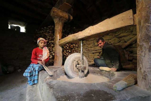 leye 20 kilometre uzaklktaki kyde vatandalar yaklak 500 dnm araziye hibir katk maddesi kullanmadan geleneksel yntemlerle, kyn eski adn tayan Kursun pirinci ekiyor.   