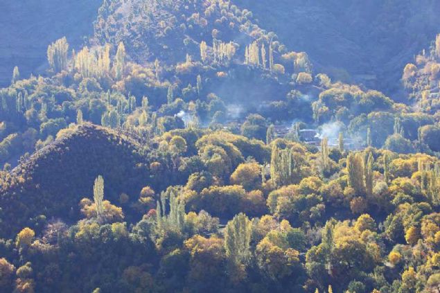 Martta ekilen pirinlerin austos aynn sonunda hasat edildiini anlatan Tuz, 'Pirincimiz organiktir ve hibir katk maddesi yoktur. Tad ok gzel. Farkl illere de pirin gnderiyoruz.' dedi.   
