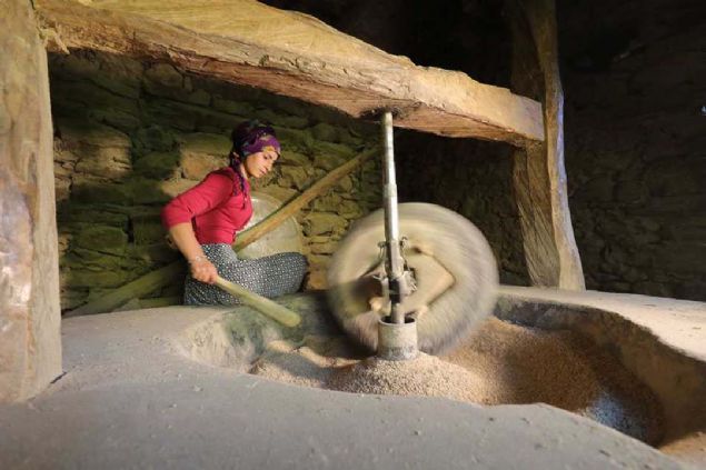 Rzgarl havada elekten geirilerek kabuundan ayrtrlan eltik, ykandktan sonra tekrar gnete kurutularak sofralarn vazgeilmezleri arasnda yer alan pirince dntrlyor.   