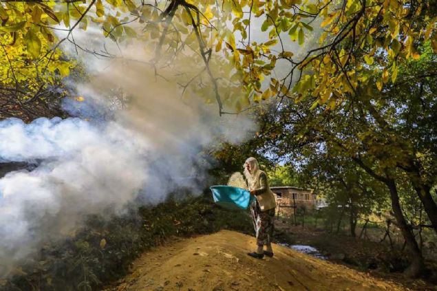 '100 yl akndr blgede pirin retiliyor'   <br><br>  Hizan Ziraat Odas Bakan Erkan Durmaz, AA muhabirine yapt aklamada, Karbast ky ve bal 9 mezrada doal yntemlerle pirin ekimi yapldn belirtti.   