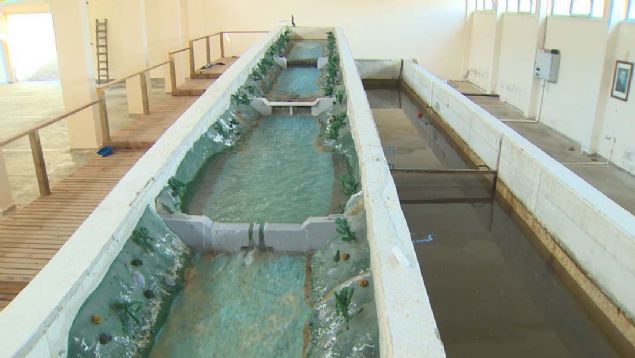 T�rkiye'de en �ok ta�k�nlar�n Do�u Karadeniz B�lgesinde meydana geldi�ine dikkat �eken DS� 22.B�lge M�d�r Vekili Dr. Emre Ak�al�, s�z konusu ta�k�nlar�n olu�mas�nda di�er etkenin  insan m�dahalesi oldu�unu s�yledi.    