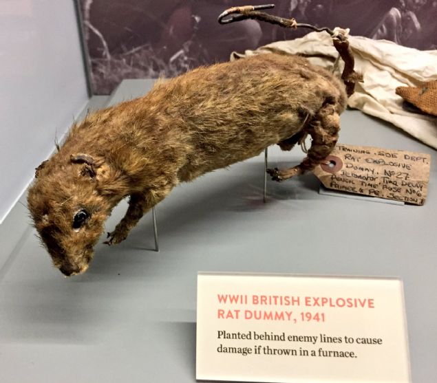 Planlar, san sevkiyatnn Almanlar tarafndan yakalanmasndan sonra iptal edildi.      