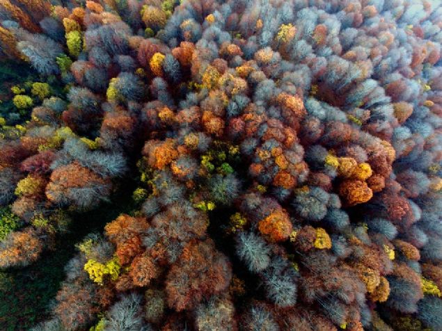 Kltr ve Turizm Bakanlnca doa turizm alan ilan edilen Nebiyan Da; ormanlar, yaylas ve suyu ile her mevsim ayr bir doal gzellii bnyesinde barndryor.  