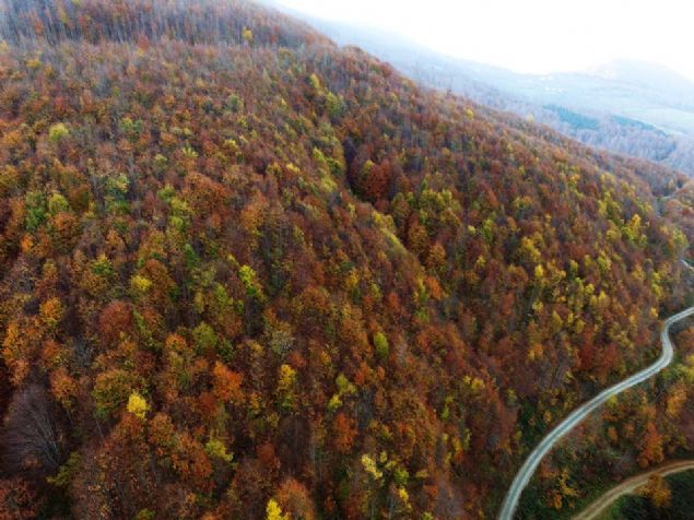 Doaseverlerin, sanatlarn ve adrenalin tutkunlarnn nemli urak yerlerinin banda gelen Nebiyan Da, her mevsim ziyaretilerin ilgisini ekiyor. 